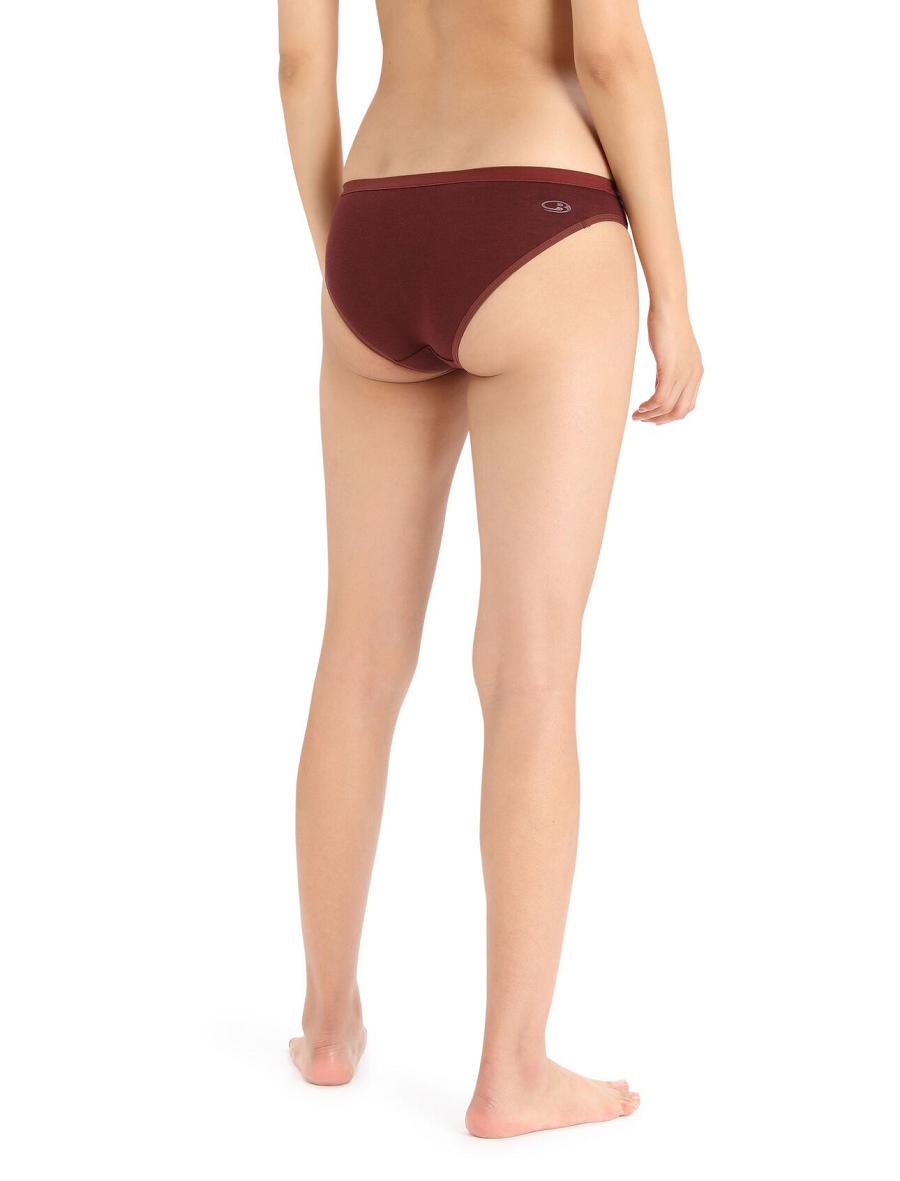 Women's Icebreaker Merino Siren Bikini Briefs Underwear Espresso | CA 1230ILHS